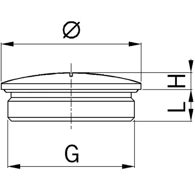 Vergrendelingsschroef roestvrij staal A2 voor hoge temperaturen